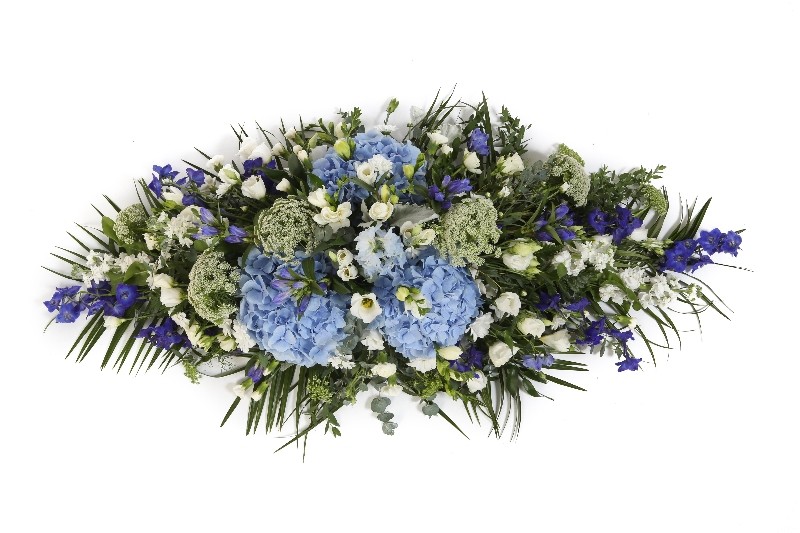DE12 HYDRANGEA AND DELPHINIUM