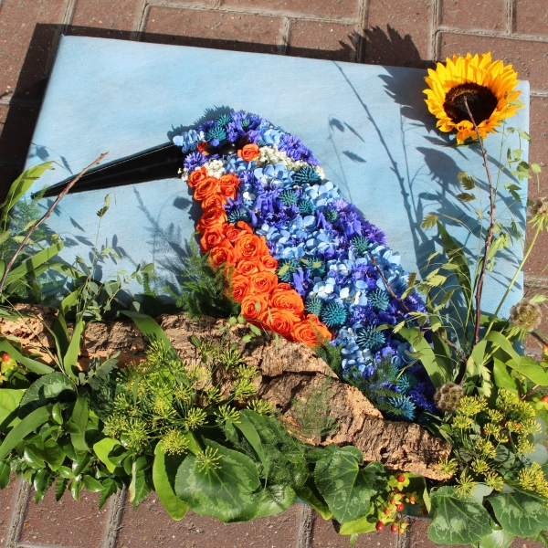 2D KINGFISHER BIRD