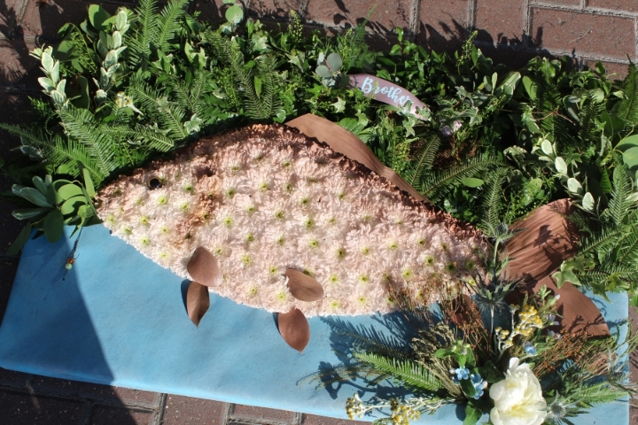 FISH AND RIVERBANK