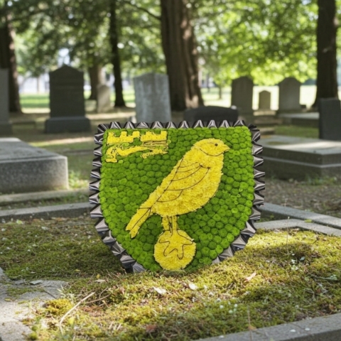 NCFC BADGE