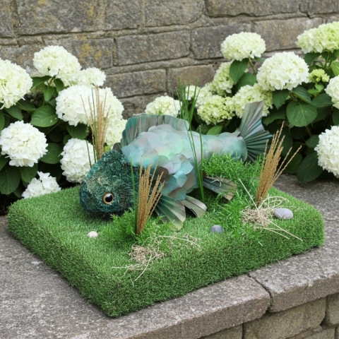 3D CARP FISH