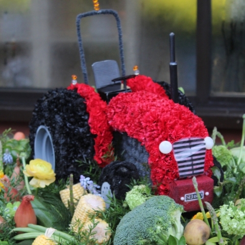 3D TRACTOR